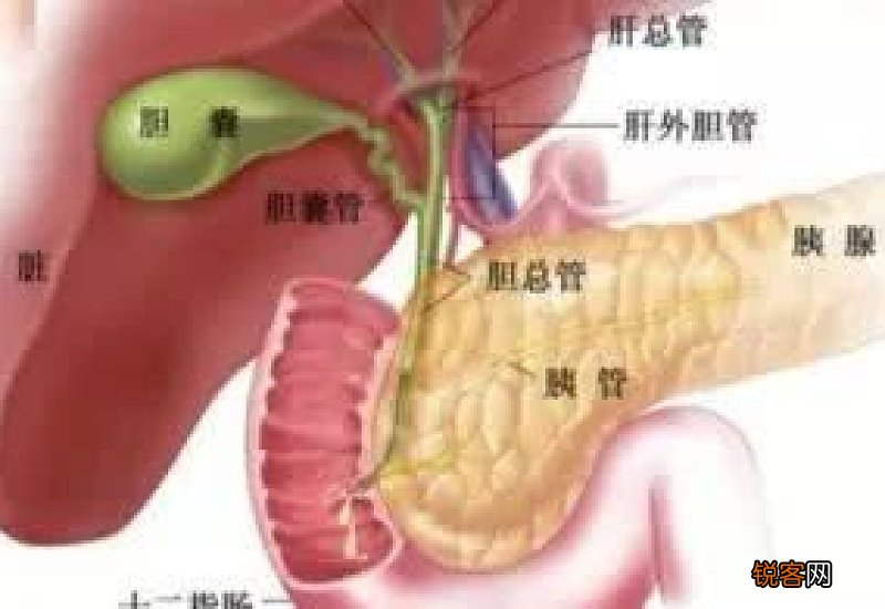 胆囊炎是什么原因引起的 胆囊炎是怎么引起的