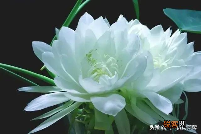 如何批评员工,使员工能够不反感并且接受批评?