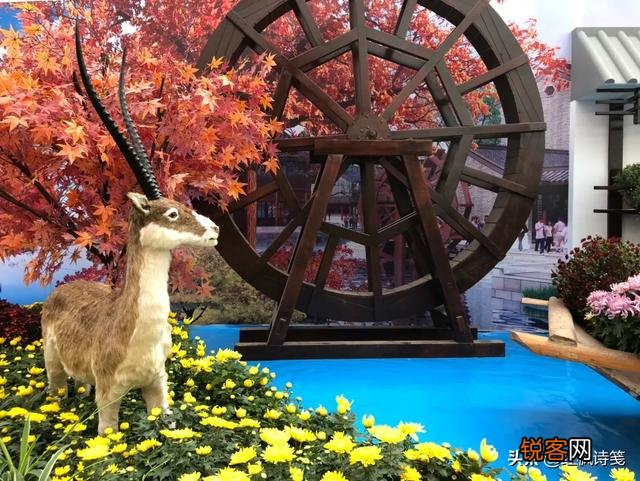 为了促进大家工作能力的提高,开会时同事间是否可以相互批评？