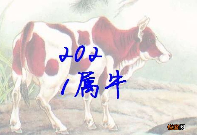 2021年牛宝宝名字里带什么字好