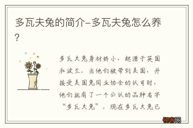 多瓦夫兔的简介-多瓦夫兔怎么养？