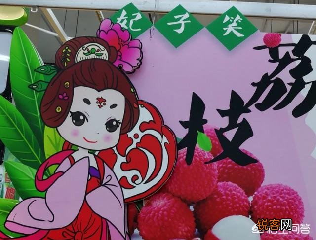 你能想到的第一个与美食有关系的名言名句是哪个,分享一下？