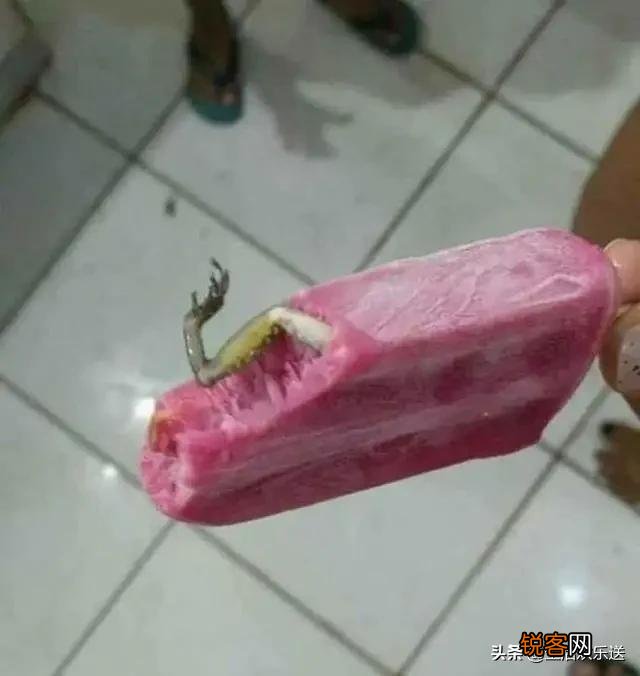 关于美食的优美句子有哪些？
