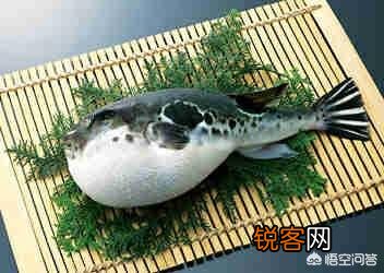 关于美食的优美句子有哪些？