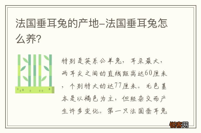 法国垂耳兔的产地-法国垂耳兔怎么养？