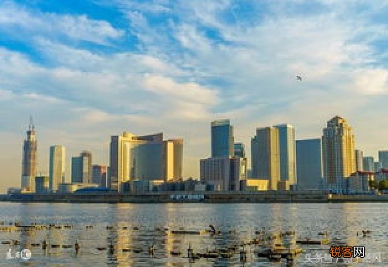 滨海新区属于天津哪个区 滨海新区为什么叫鬼城
