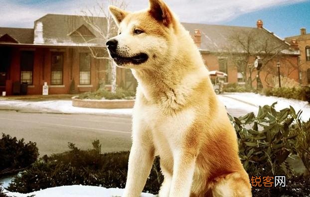 哪部电影让你在家看完还想去电影院看一遍？