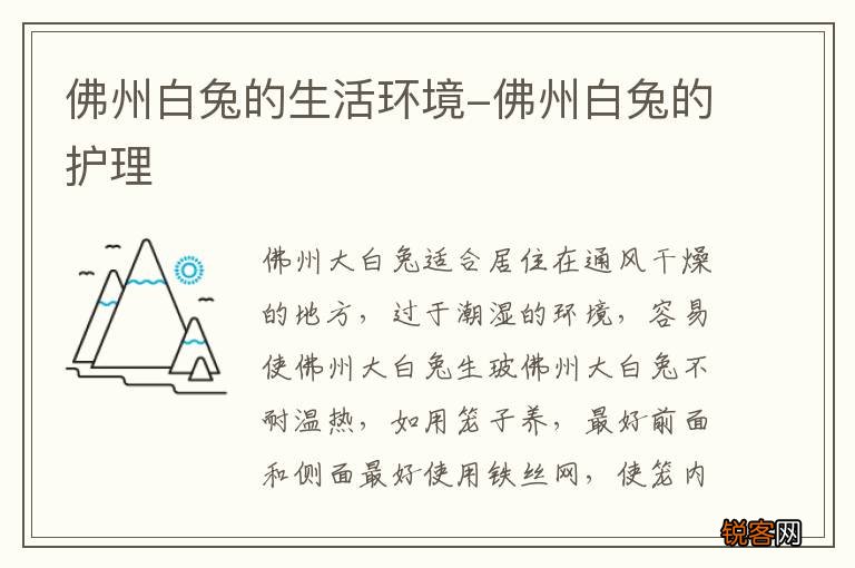 佛州白兔的生活环境-佛州白兔的护理