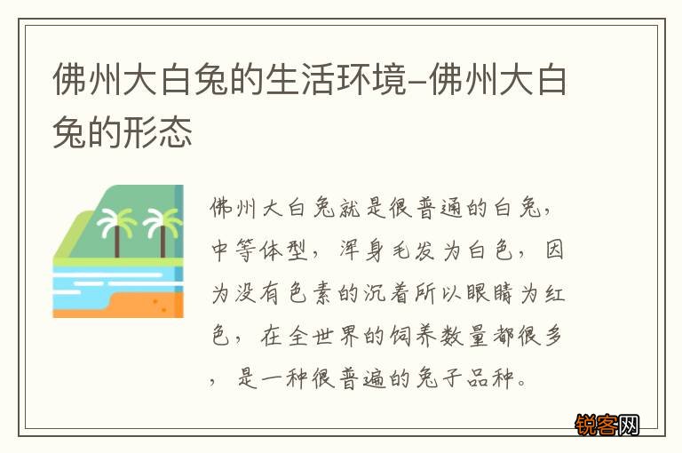 佛州大白兔的生活环境-佛州大白兔的形态