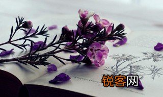 昝怎么读姓氏 昝姓氏读法