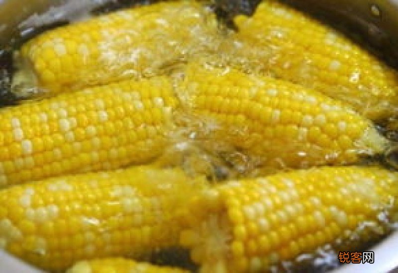 煮玉米应该用冷水还是热水