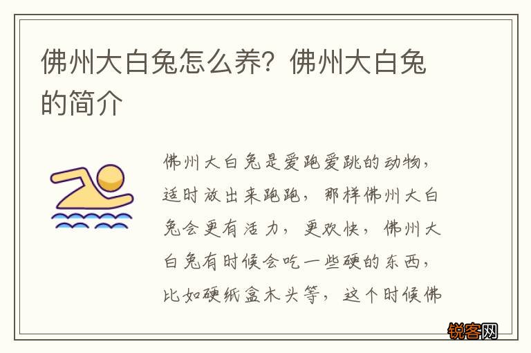 佛州大白兔怎么养？佛州大白兔的简介