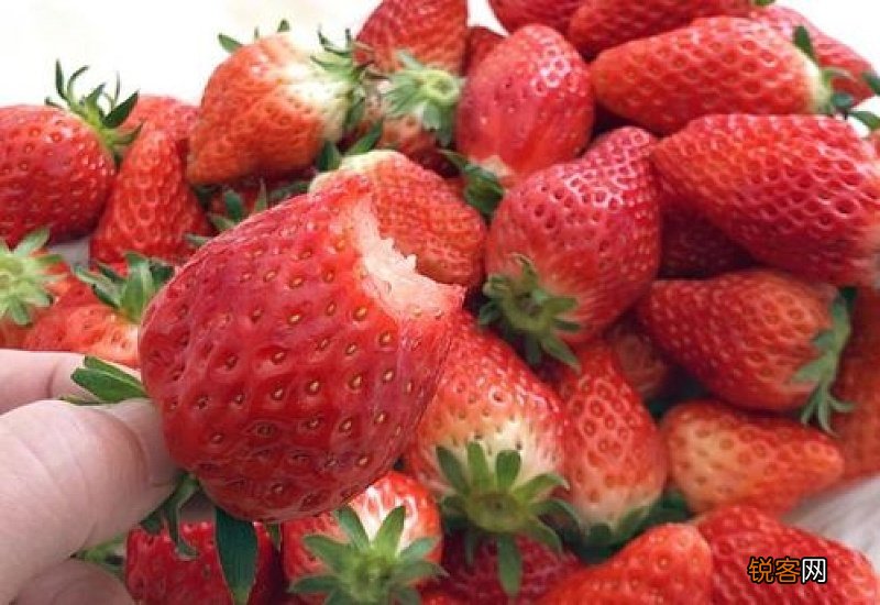 草莓洗了可以过夜吗