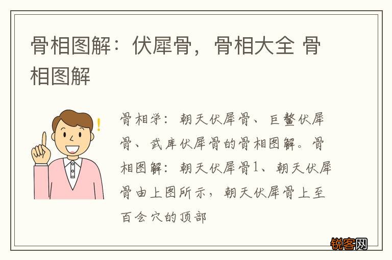 骨相图解：伏犀骨，骨相大全 骨相图解