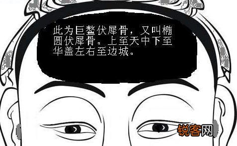 骨相图解：伏犀骨，骨相大全 骨相图解