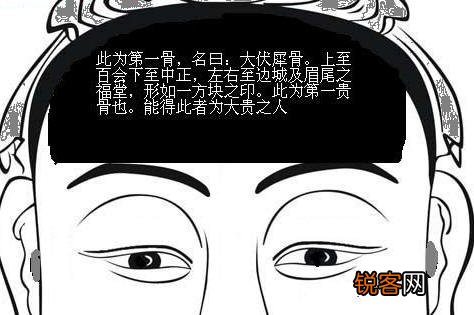 骨相图解：伏犀骨，骨相大全 骨相图解