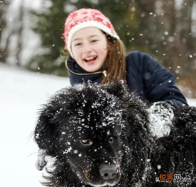 为什么说中国人与芬兰人在历史上曾经是同宗堂兄弟？