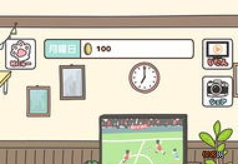 猫咪饲养日常攻略