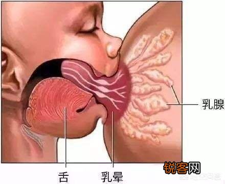 哺乳时没有奶震了怎么回事？