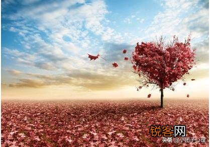 一女的同时和多个男生搞暧昧,她对象为什么还会原谅她?图什么？