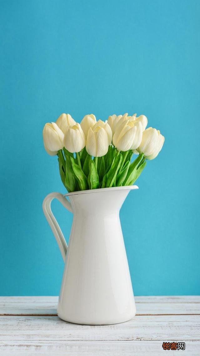 男人那么多,为什么我还是单身？