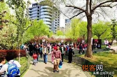 古诗中经常出现的“东篱”是什么意思？如何理解它的含义？