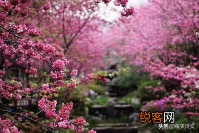 古诗中经常出现的“东篱”是什么意思？如何理解它的含义？