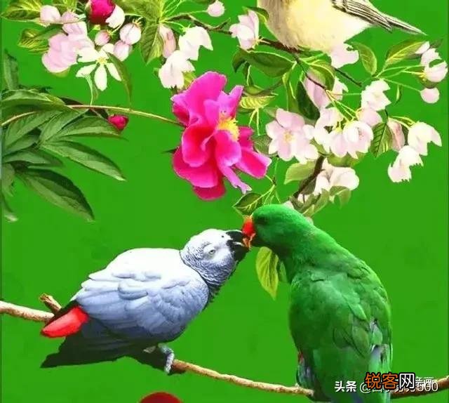 春眠不觉晓,是不是批评睡懒觉,不惜光阴的一首诗?