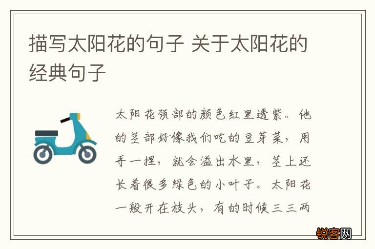 描写太阳花的句子 关于太阳花的经典句子