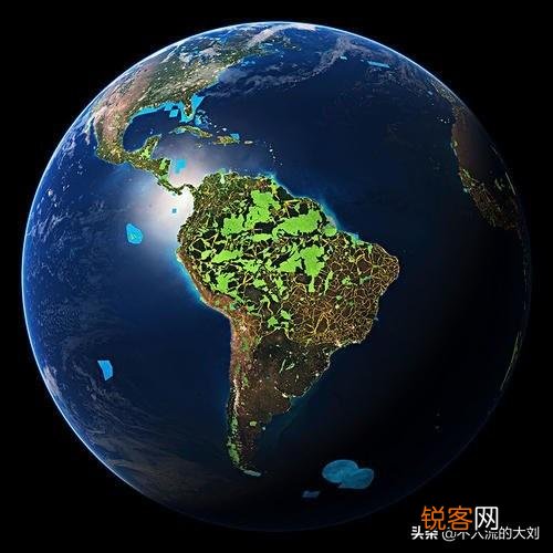 地球变暖了,地球上有哪些动物消失了？