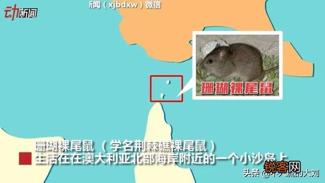 地球变暖了,地球上有哪些动物消失了？