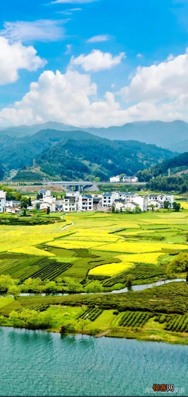 地球变暖了,地球上有哪些动物消失了？