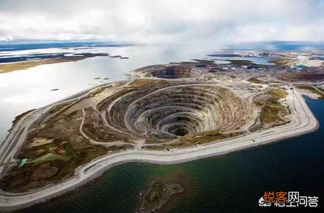 有哪些灭绝的物种现在又重新出现了？