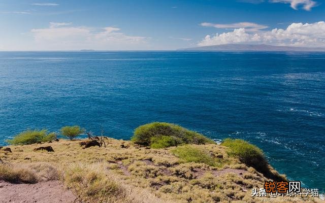 有哪些灭绝的物种现在又重新出现了？