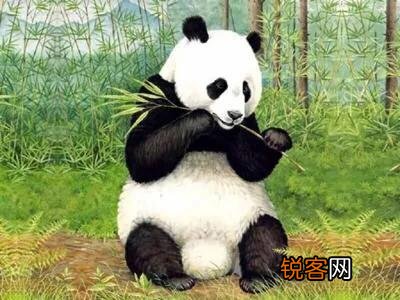 为什么有些保护动物依然在灭绝,而苍蝇蚊子老鼠人人喊打却活得好好的？