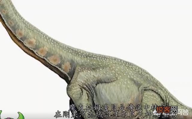 有哪些生物是你认为还存在,却已经灭绝的？