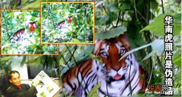 有哪些生物是你认为还存在,却已经灭绝的？