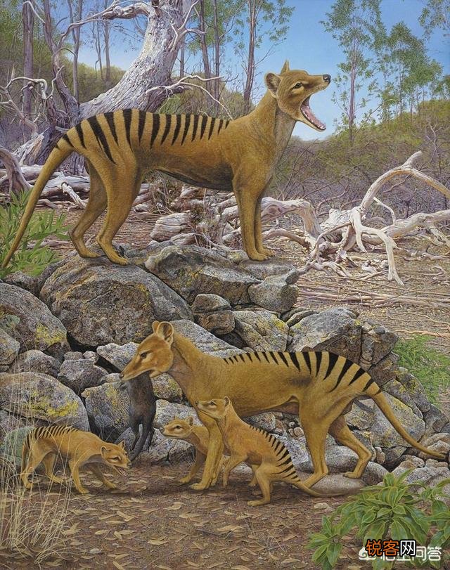 有哪些生物是你认为还存在,却已经灭绝的？