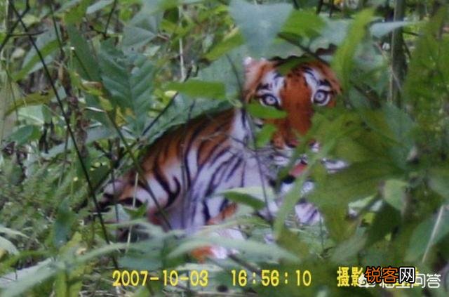 有哪些生物是你认为还存在,却已经灭绝的？