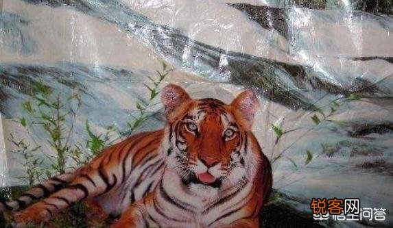 有哪些生物是你认为还存在,却已经灭绝的？