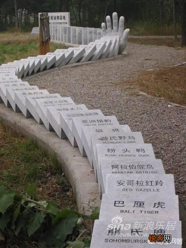 地球上有多少动植物已经灭绝了,如何灭绝的？