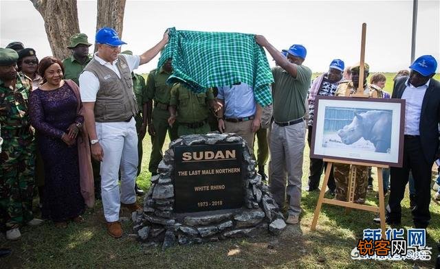 地球上有多少动植物已经灭绝了,如何灭绝的？