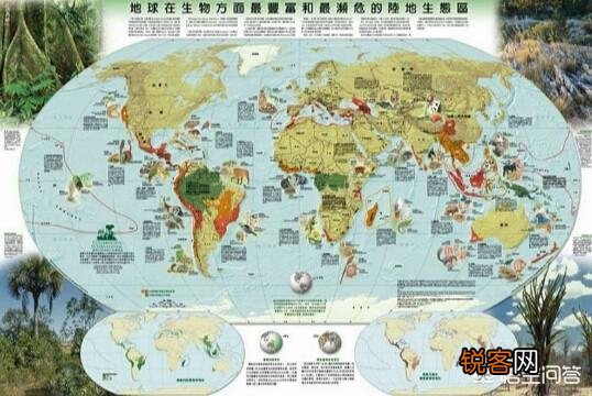 地球上有多少动植物已经灭绝了,如何灭绝的？