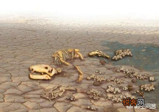 地球上有多少动植物已经灭绝了,如何灭绝的？