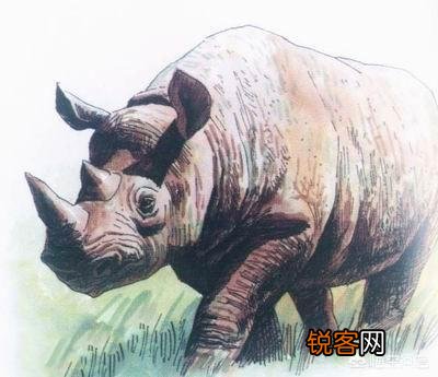 中国有哪些特有的,却已经灭绝了的动物？