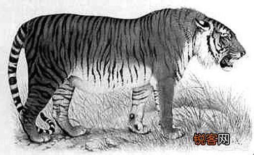 中国有哪些特有的,却已经灭绝了的动物？