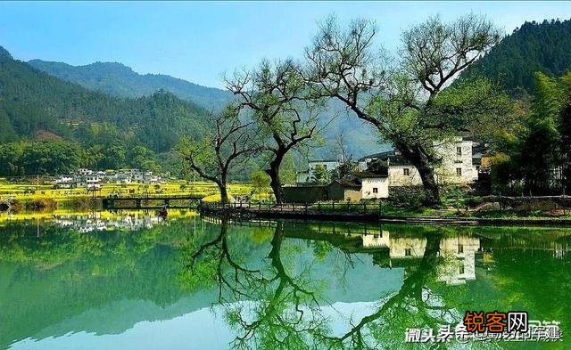 过去农民的愿望是”五谷丰登””六畜兴旺”,现在是什么呢？