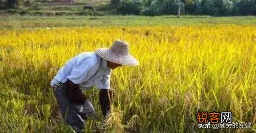 过去农民的愿望是”五谷丰登””六畜兴旺”,现在是什么呢？