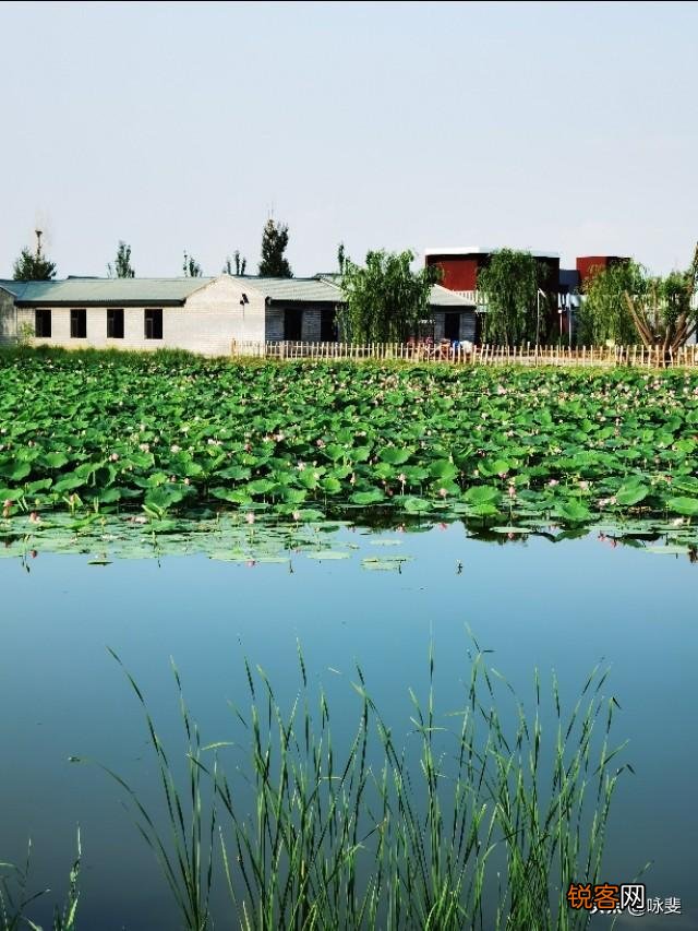 过去农民的愿望是”五谷丰登””六畜兴旺”,现在是什么呢？