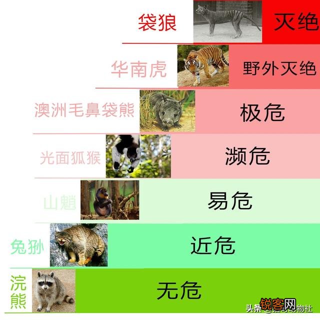 为何近期频繁发现已经灭绝动物的出现？